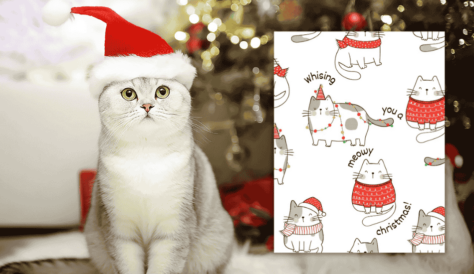 grey cat wearing santa hat next to illustrated cat-themed christmas card.